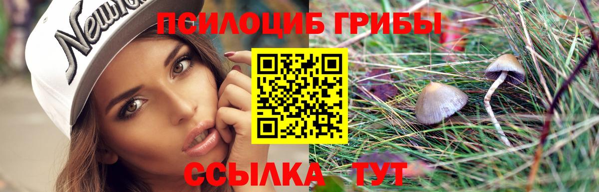 купить наркоту  Псилоцибиновые грибы Cubensis  Вход с VPN  Темрюк 